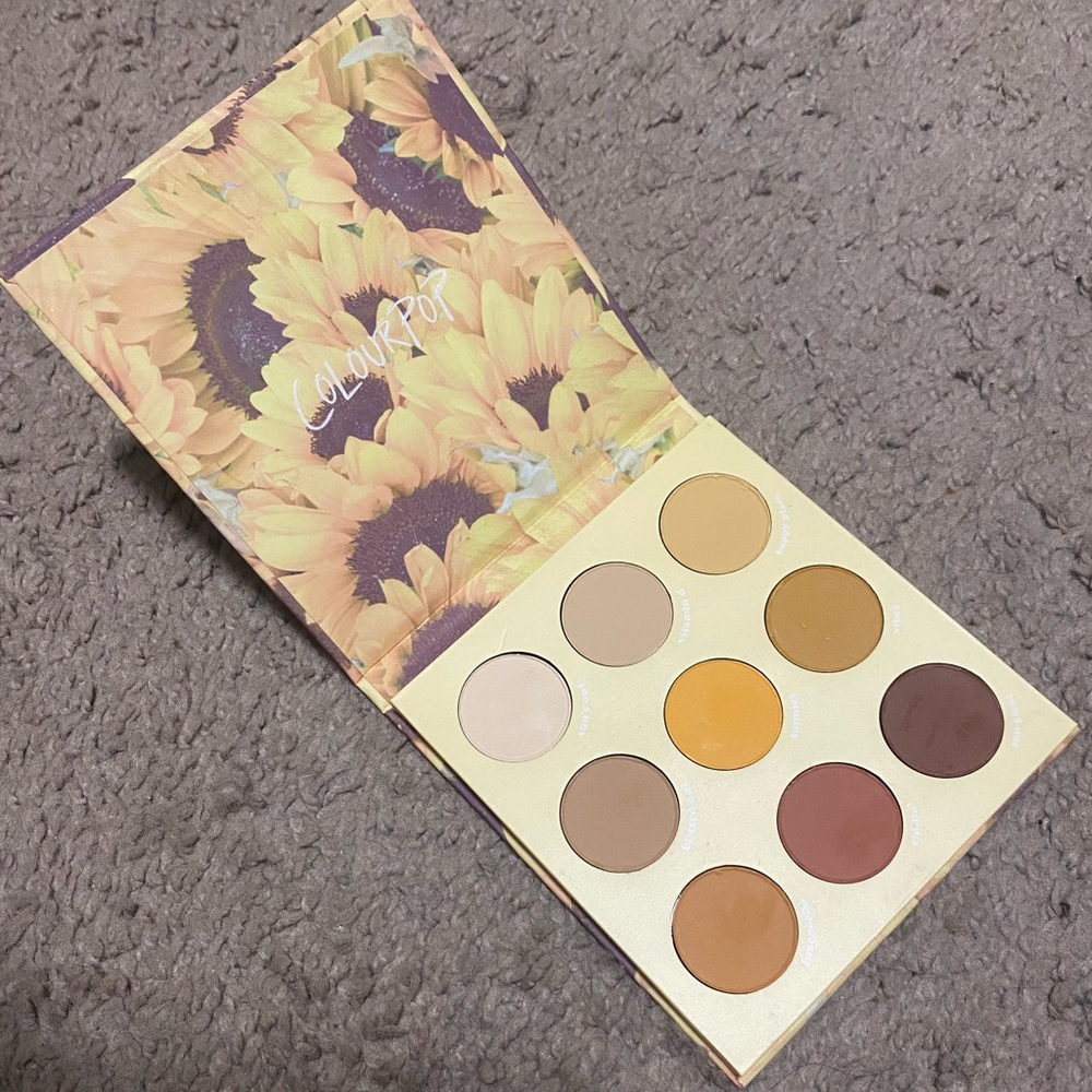 Colourpop Lil' Ray Of Sunshine Eyeshadow Palette